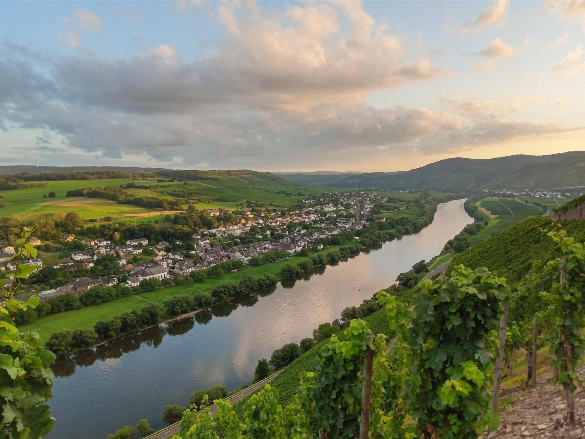 Das Rote Ferienhaus Terlinden ลีเซอร์ ภายนอก รูปภาพ