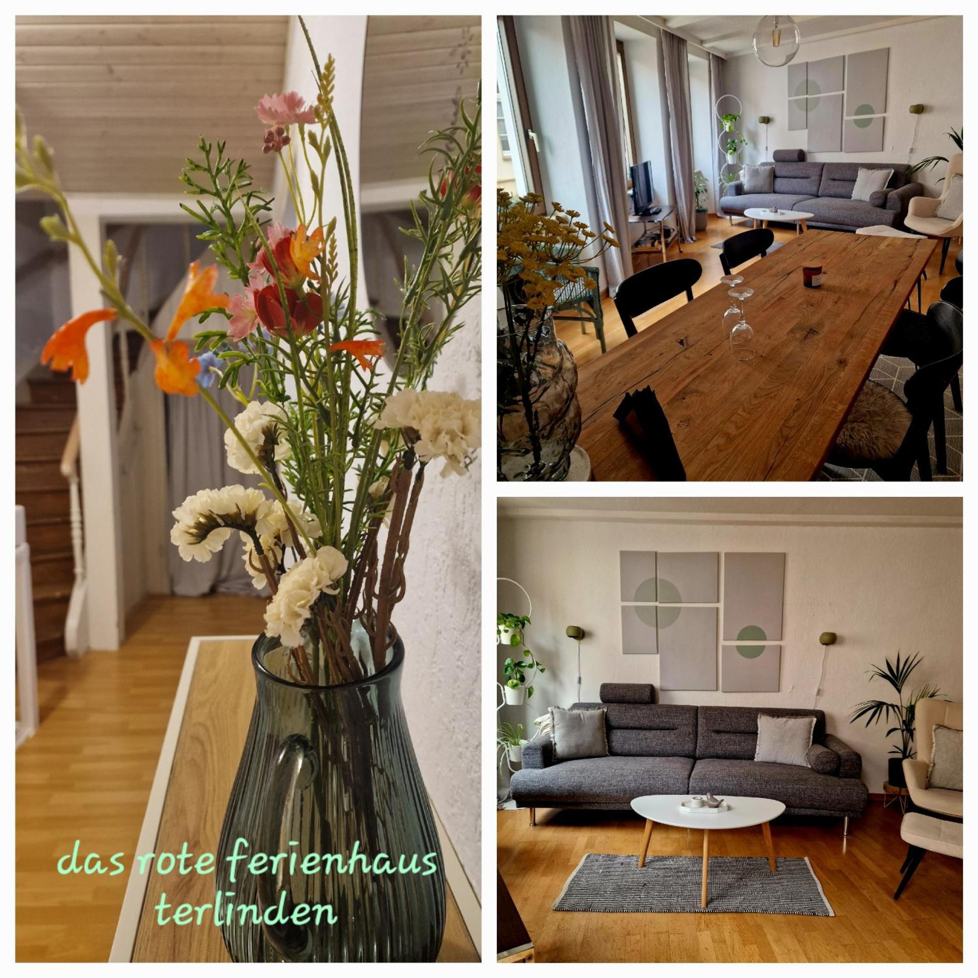 Das Rote Ferienhaus Terlinden ลีเซอร์ ภายนอก รูปภาพ