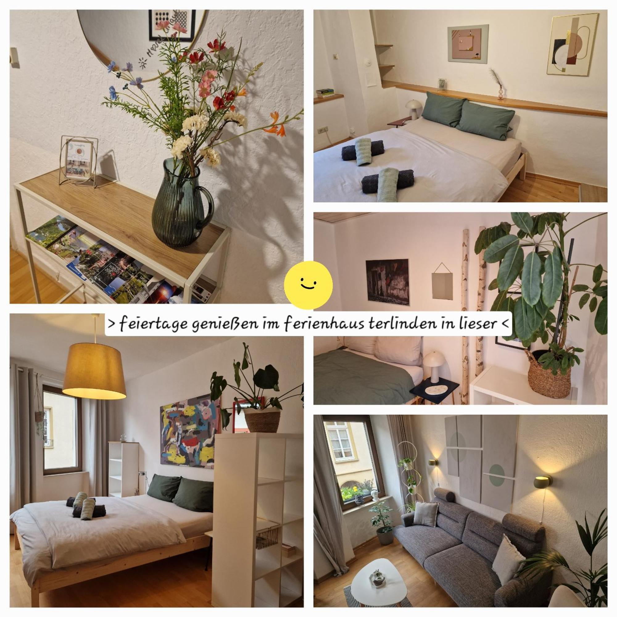 Das Rote Ferienhaus Terlinden ลีเซอร์ ภายนอก รูปภาพ